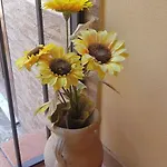 Casa Anna *